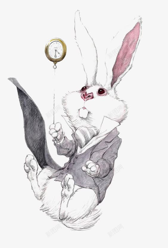兔子先生png免抠素材_新图网 https://ixintu.com 兔子拟人 怀表 插画 欧式复古 童话故事