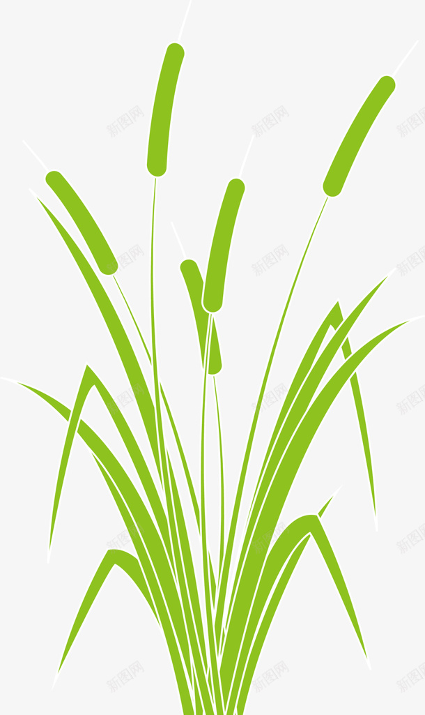 绿色春季芦苇草丛png免抠素材_新图网 https://ixintu.com 春天 春季 春日 杂草 植物 自然 芦苇 芦苇丛 草丛