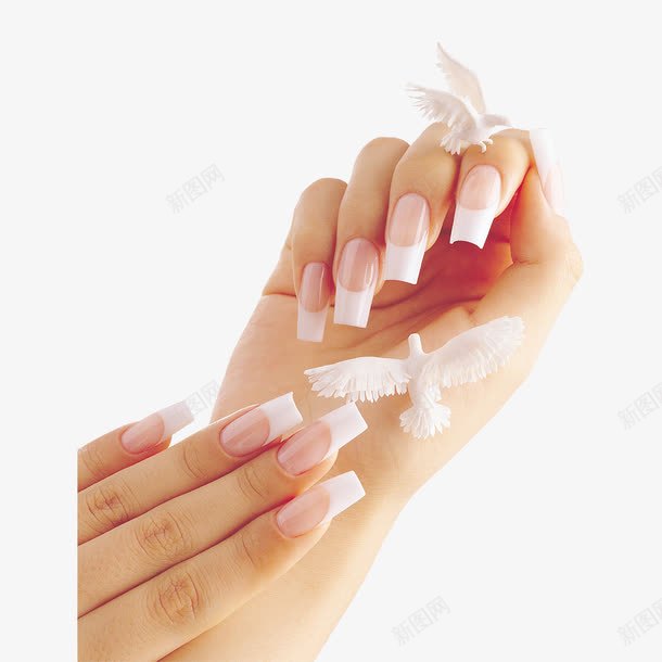 美甲的修长手指图png免抠素材_新图网 https://ixintu.com 修长的手指 剪指甲 女人 女性 手指甲 手掌 指甲 白色美甲 美甲 美颜