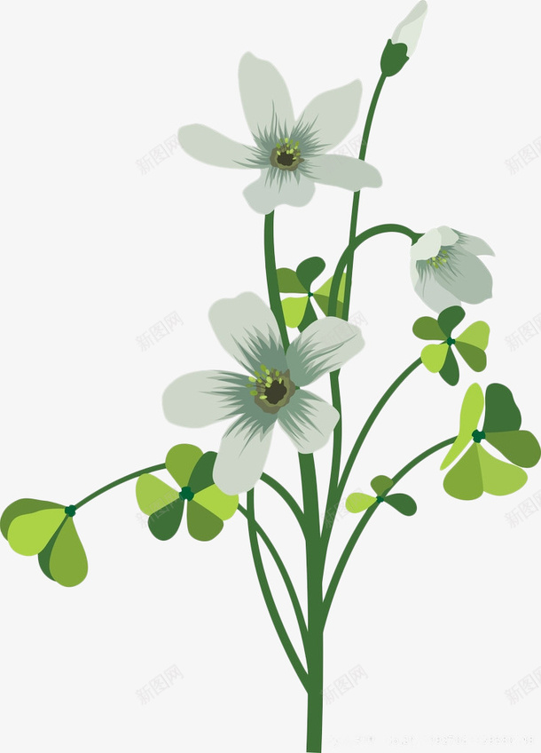 绿色植物png免抠素材_新图网 https://ixintu.com 卡通 卡通素材 四叶草 春天 清新 白色花朵 绿草 花卉 装饰 装饰素材