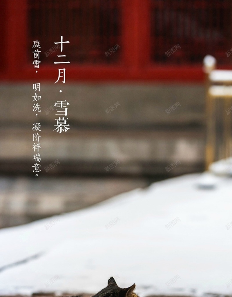 文字雪景猫咪H5背景jpg设计背景_新图网 https://ixintu.com H5 h5 十二月 卡通 彩色 手绘 故宫 文字 猫咪 童趣 雪景