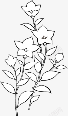 手绘装饰线描花朵叶子物图图标图标