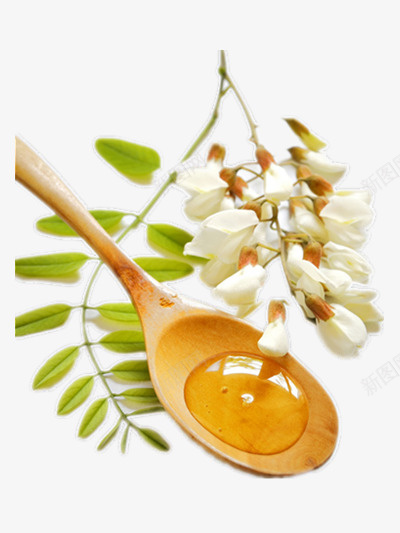 勺子的蜂蜜png免抠素材_新图网 https://ixintu.com 一勺蜂蜜 植物 美食 蜂蜜 食物 鲜花