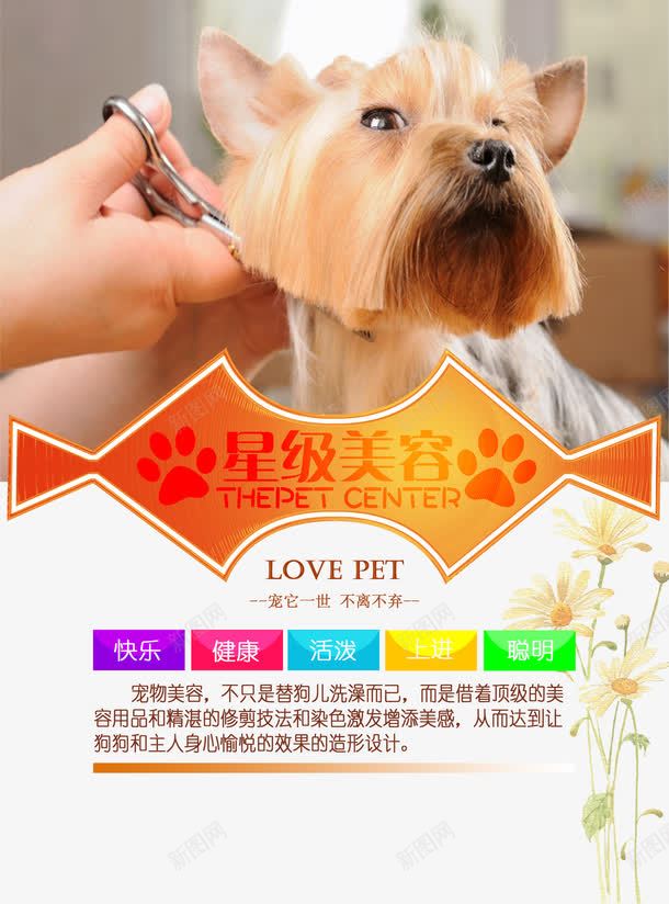 宠物店宣传单星级美容png免抠素材_新图网 https://ixintu.com 剪发 宠物店宣传单 宠物美容 宠物零食 寄养 星级美容