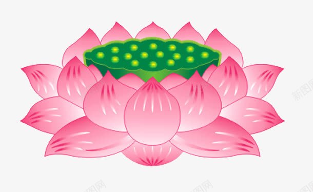 莲花座png免抠素材_新图网 https://ixintu.com 佛教 佛教素材矢量 宗教 莲花宝座 莲花座