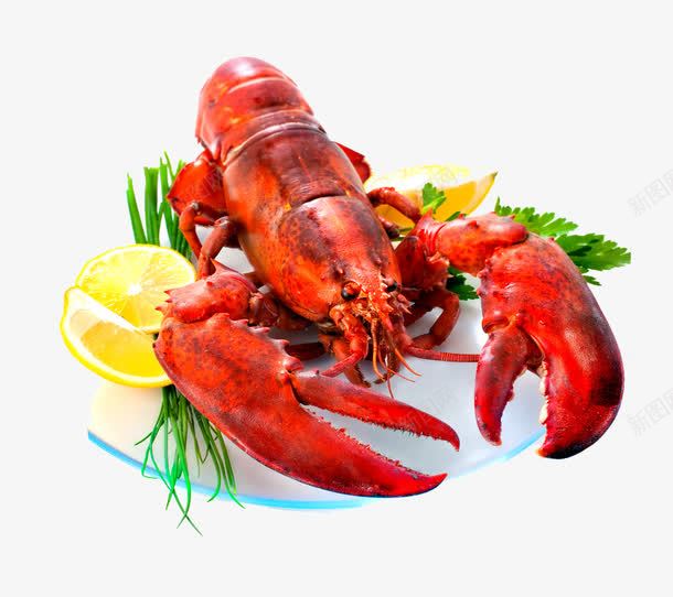 小龙虾png免抠素材_新图网 https://ixintu.com 海鲜 红色 美食 食物