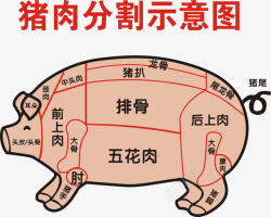 手绘猪肉分割标注图透明素材