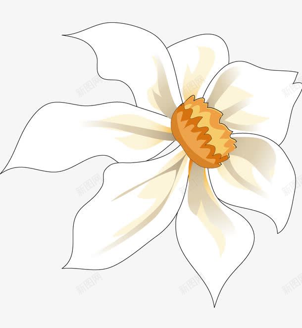 水仙花png免抠素材_新图网 https://ixintu.com 传统花纹 婚礼 花纹 花边 装饰花纹 角花