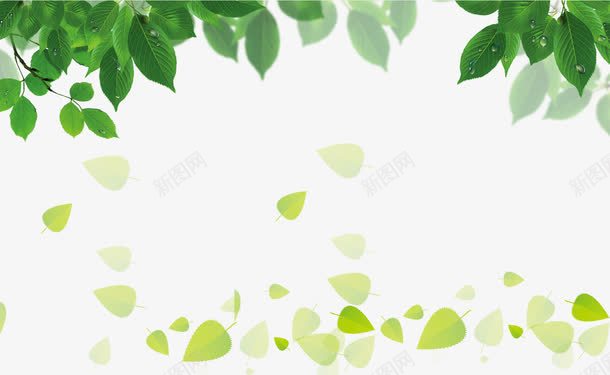 绿化绿叶png免抠素材_新图网 https://ixintu.com 叶子 叶子背景图 小清新 绿化环保 绿色叶子 绿色小清新