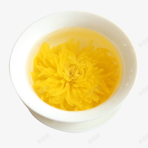 白色陶瓷茶杯中泡开的成色金黄的png免抠素材_新图网 https://ixintu.com 成色 泡开 白色 白色陶瓷茶杯中泡开的成色金黄的金丝菊免费下载 菊花茶 金丝菊 金黄色 陶瓷杯