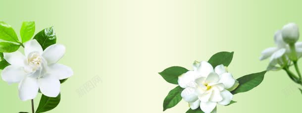 化妆品淘宝背景jpg设计背景_新图网 https://ixintu.com 中文模板 化妆品 化妆品淘宝页素材下载 淘宝 源文件 网页模板 设计 页面