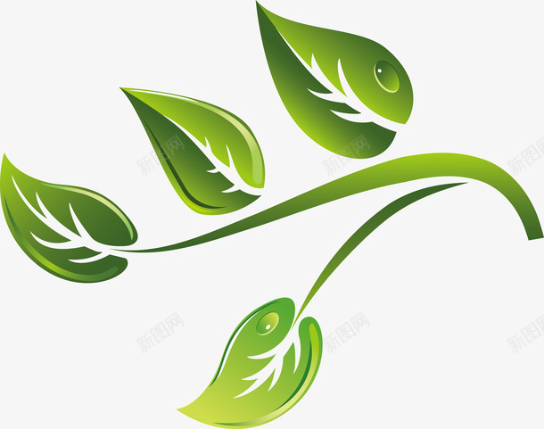 茶叶简笔画新鲜茶叶矢量图ai免抠素材_新图网 https://ixintu.com 山茶叶 毛尖茶叶 白茶茶叶 矢量茶叶 碧螺春茶叶 竹叶青茶叶 绿色茶叶 茶叶叶子 茶叶水墨 矢量图