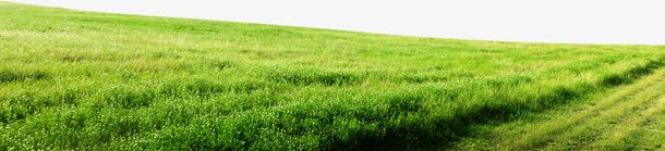 绿色春天风景田园png免抠素材_新图网 https://ixintu.com 春天 田园 绿色 风景