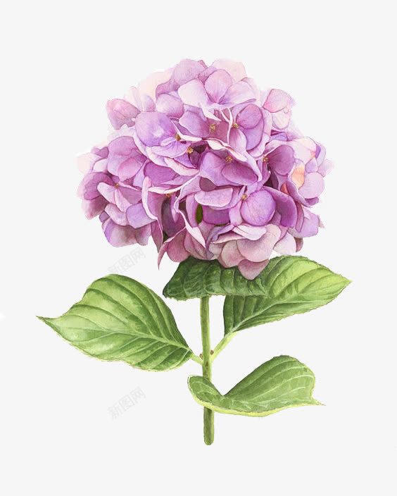 手绘粉色小碎花花球psd免抠素材_新图网 https://ixintu.com 小清新 手绘 插画 水彩 美丽 花卉