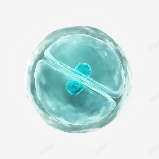 显微镜下的细胞真菌生物结构png免抠素材_新图网 https://ixintu.com 医疗 显微镜 生物 生物学 生物研究 真菌 细胞 细菌 高清大图