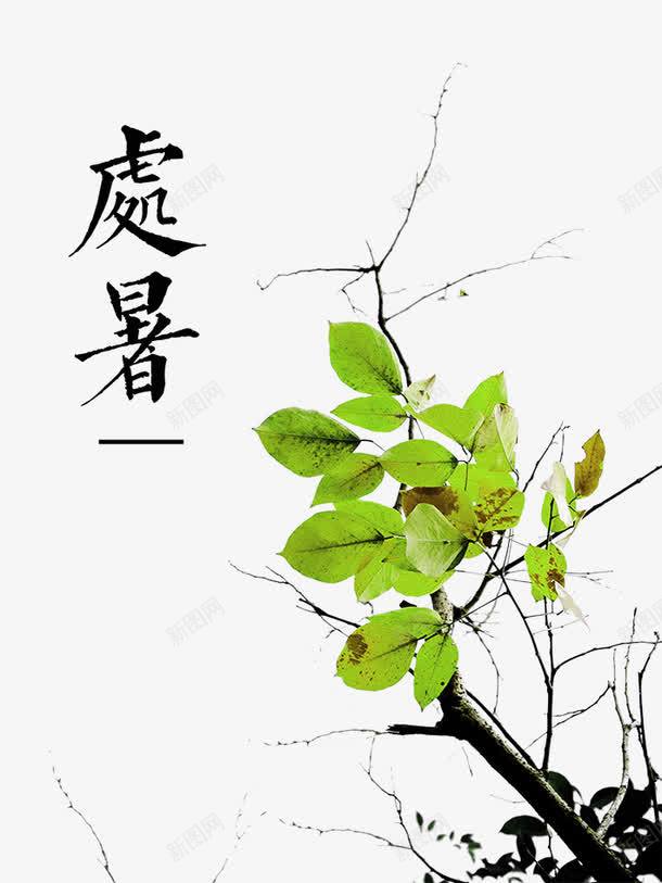 清新处暑节气海报png免抠素材_新图网 https://ixintu.com 24节气 二十四节气 处暑 树叶 水墨风 海报 清新 简约 节气