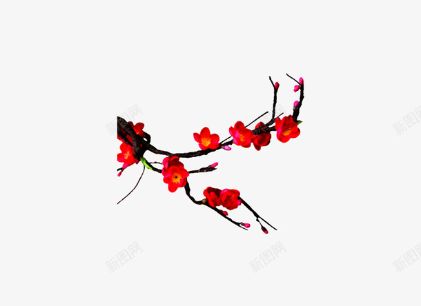 梅花红色简约png免抠素材_新图网 https://ixintu.com 一剪梅 一枝梅花 中国风 中国风素材 梅 梅兰竹菊 梅花 梅花素 水彩梅花 红梅