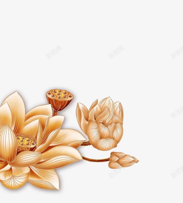 花卉元素png免抠素材_新图网 https://ixintu.com 中国风 水彩 花卉 花卉元素 荷花荷叶 金色
