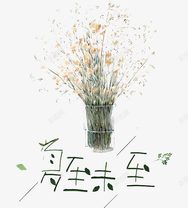 夏至未至png免抠素材_新图网 https://ixintu.com 植物 盆栽 绿色 艺术字 花朵