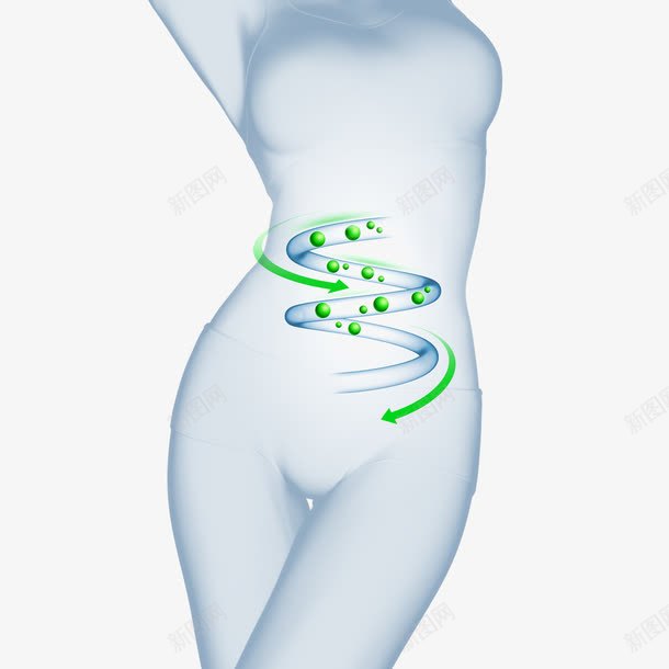 创意女性肠道减肥广告png免抠素材_新图网 https://ixintu.com 图片素材 物图库 肠道 腰部