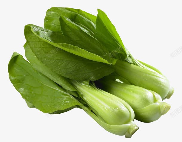 新鲜油菜特写png免抠素材_新图网 https://ixintu.com 上海青 叶子 实物 小白菜 新鲜油菜特写 绿色 菜胆 蔬菜 香菇油菜