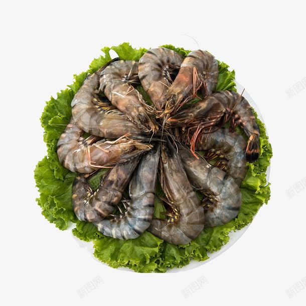 产品实物生菜青虾冰虾png免抠素材_新图网 https://ixintu.com 产品实物 冰冻 冰虾 冰鲜 明虾 海产 海鲜 生鲜 虾 食物 食物原料 餐饮美食
