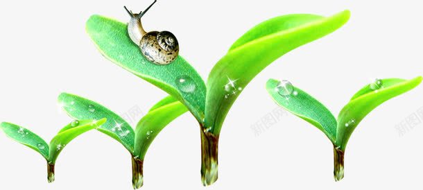 春天绿色嫩芽水滴蜗牛png免抠素材_新图网 https://ixintu.com 嫩芽 春天 水滴 绿色 蜗牛