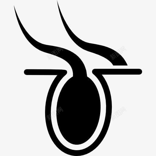 毛囊图标png_新图网 https://ixintu.com 人 头发 毛发的毛囊 毛囊 皮肤 身体 身体部位