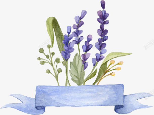 薰衣草png免抠素材_新图网 https://ixintu.com 小清新 水彩 花朵 薰衣草 鲜花