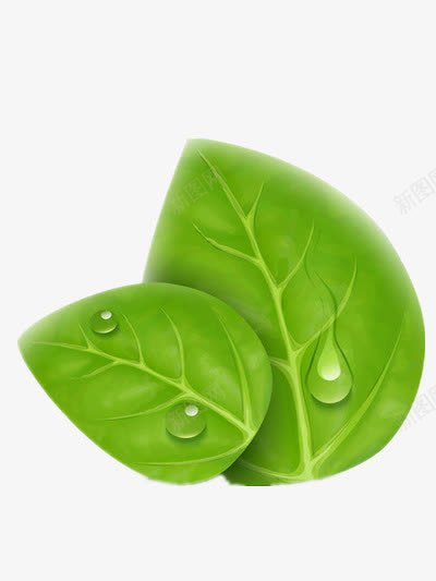 茶叶png免抠素材_新图网 https://ixintu.com 新茶 新茶上市 春茶 春茶上市 树叶 清茶 绿色 茶叶 茶艺 茶露 饮品