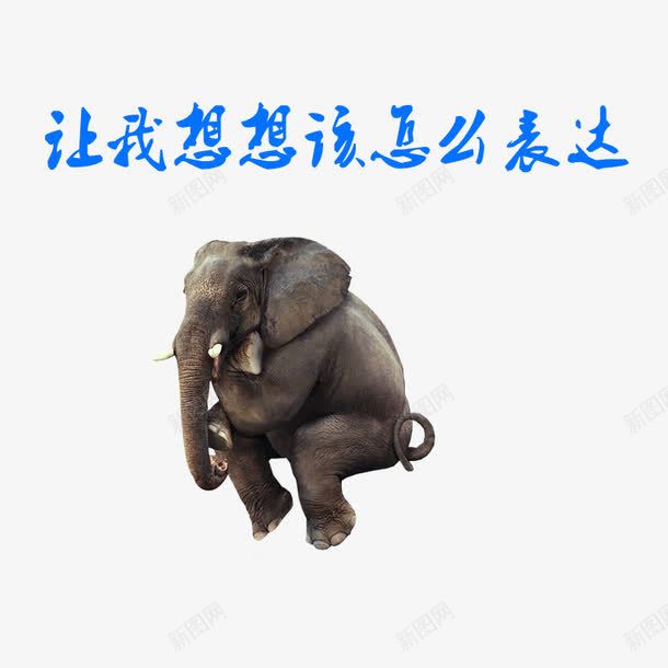 让我想想该怎么表达png免抠素材_新图网 https://ixintu.com png素材 动物 大象 思考