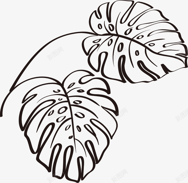 植物叶子纹理线描图png免抠素材_新图网 https://ixintu.com 叶子 叶子简笔画 叶子纹理 叶子线描 树叶 植物 线描叶子