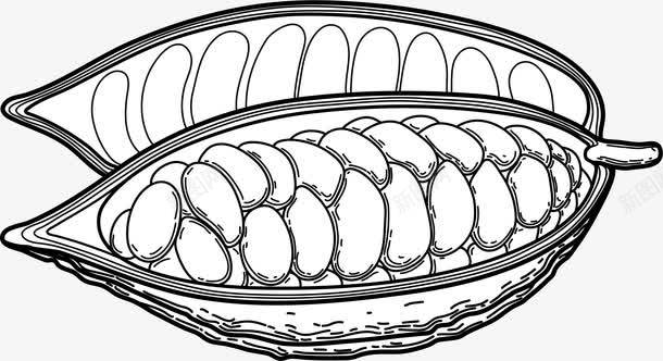 线描可可果实png免抠素材_新图网 https://ixintu.com 可可 可可豆 咖啡色 巧克力 底纹 手绘 朱古力 果实 素描 绿叶 食品原料