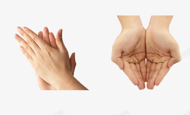 各种手势鼓掌拍手png免抠素材_新图网 https://ixintu.com 手 手势 手指 拍手 拍手叫好 鼓掌