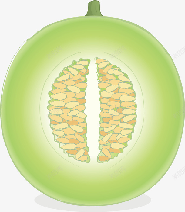切开的青瓜png免抠素材_新图网 https://ixintu.com 哈密瓜 多汁 手绘 有籽 植物 水果 绿色