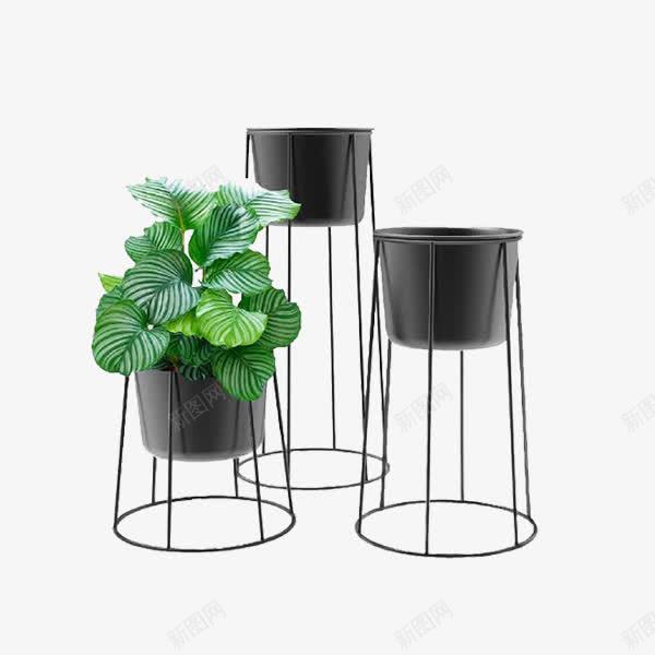 金属铁艺绿萝吊兰png免抠素材_新图网 https://ixintu.com 多肉植物 绿萝花 绿萝花盆栽 阳台落地式花盆