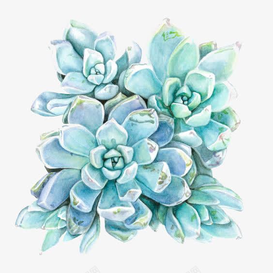 蓝色多肉植物png免抠素材_新图网 https://ixintu.com 多肉免扣PNG 水彩植物 渐变色 盆景 盆栽 蓝色