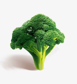 蔬菜海报西兰花高清图片