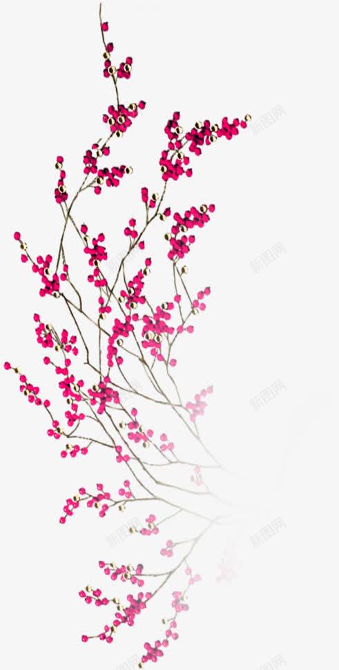 红色唯美春天花朵生长png免抠素材_新图网 https://ixintu.com 春天 生长 红色 花朵