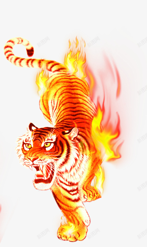 手绘老虎火焰装饰图案png免抠素材_新图网 https://ixintu.com 免抠PNG 手绘 水彩老虎画 火焰 老虎 装饰图案