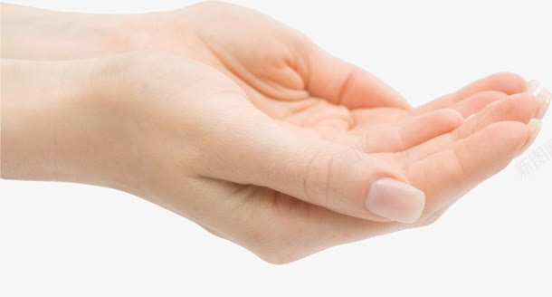 做出捧水姿势的手png免抠素材_新图网 https://ixintu.com 双手 左右手 手 手指