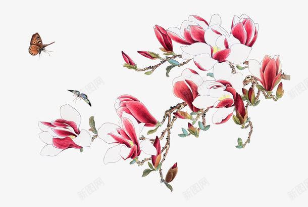 国画花png免抠素材_新图网 https://ixintu.com 国画牡丹 山水牡丹 树枝 洛阳牡丹 花丛