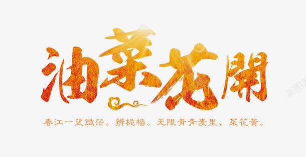 油菜花开png免抠素材_新图网 https://ixintu.com 春天 油菜花 艺术字 赏花