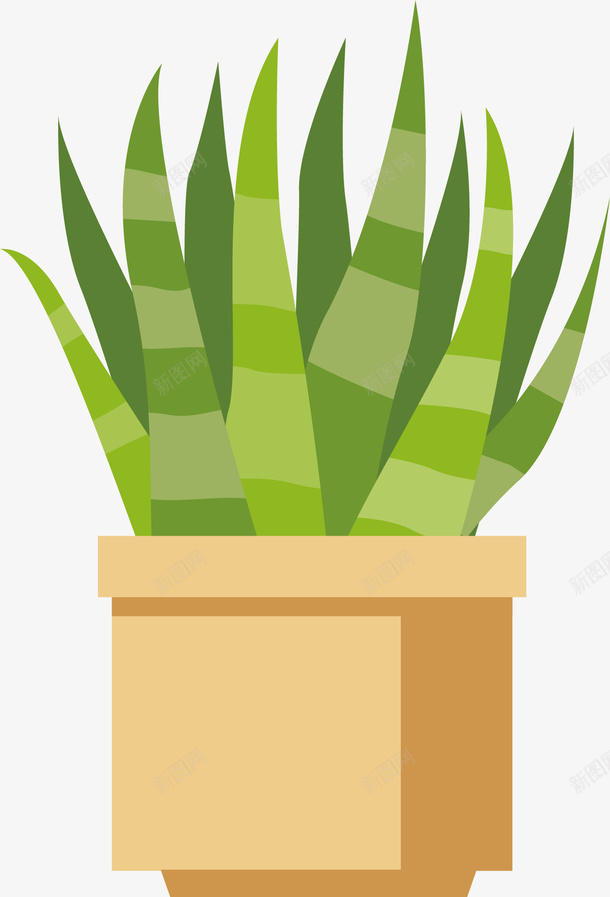 绿植园林植物喷绘png免抠素材_新图网 https://ixintu.com 办公盆栽 园林植物喷绘 园艺植物 植被 花盆植物 菊花盆栽 装饰