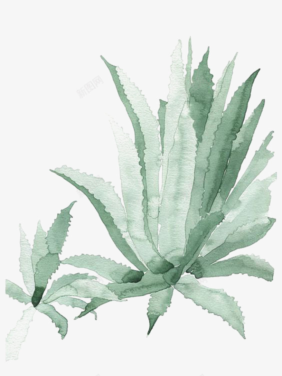 水彩盆栽png免抠素材_新图网 https://ixintu.com 卡通 手绘 插画 植物 水彩 盆栽 绿色