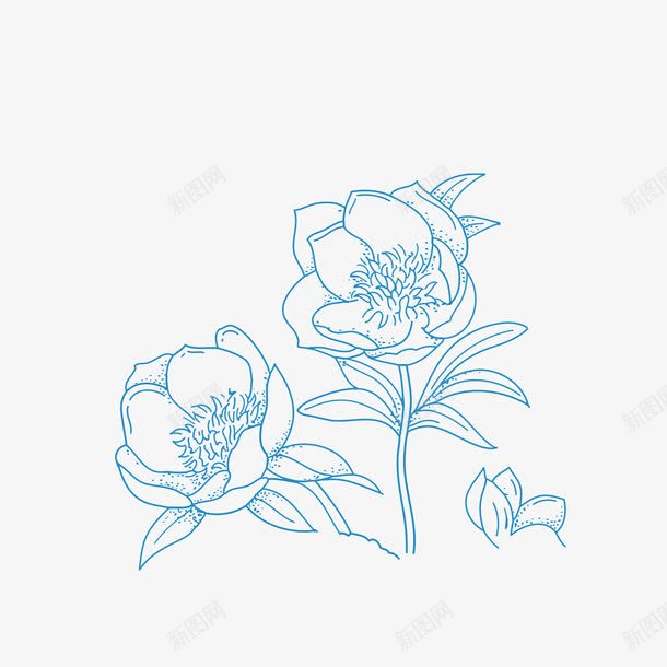 蓝色线形花朵png免抠素材_新图网 https://ixintu.com 线型花纹 线条 美丽 花朵 蓝色