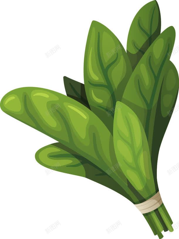 蔬菜png免抠素材_新图网 https://ixintu.com AI 一捆 包菜 南瓜 卡通蔬菜 大葱 成捆的蔬菜 抽象蔬菜 生姜 生物世界 矢量蔬菜 窝瓜 花菜 菜类图片 菠菜 萝卜 蔬菜 设计 餐饮美食