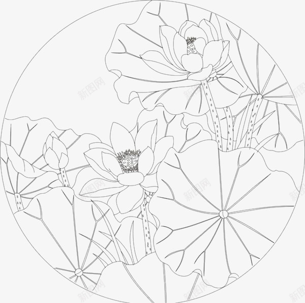 白描荷花简笔png免抠素材_新图网 https://ixintu.com 白描荷花速写 简笔画 简笔荷花 简笔莲花 荷花儿 荷花简笔 莲花儿简笔画