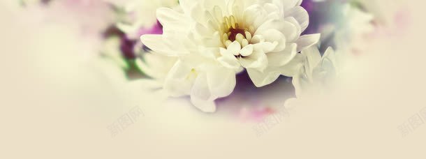 清新花朵背景jpg设计背景_新图网 https://ixintu.com psd 中文模板 大花 女装 母亲节 淘宝女装首页海报 淘宝女装首页海报模板 源文件 背景 首页海报