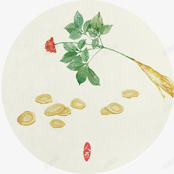 人参茶古风人参平面png免抠素材_新图网 https://ixintu.com 中国传统 人参 人参茶 健康 健康滋补 古风 手绘 滋补 草木植物
